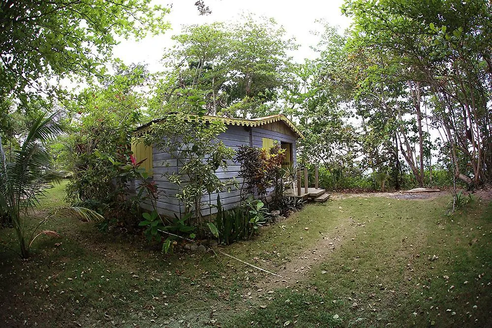 Holiday home Cottages On Half Moon Beach Green Island