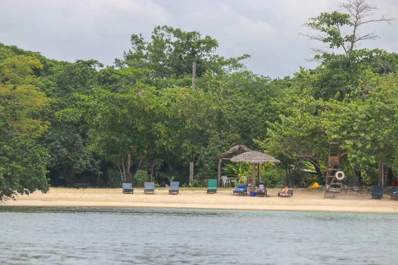 Cottages On Half Moon Beach Green Island Jamaica